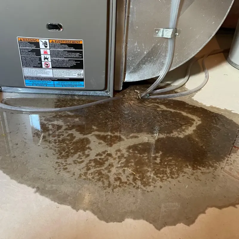 Appliance Leak Cleanup in North Arlington, NJ